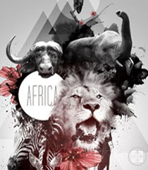 African Animals