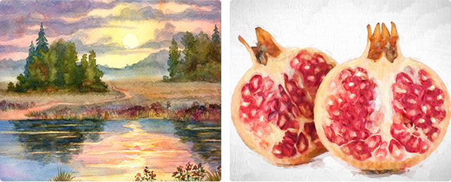 Watercolor Illustrations